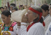 Encuentro Cultural "Yolpaki" abre espacio a la medicina tradicional y la espiritualidad indígena