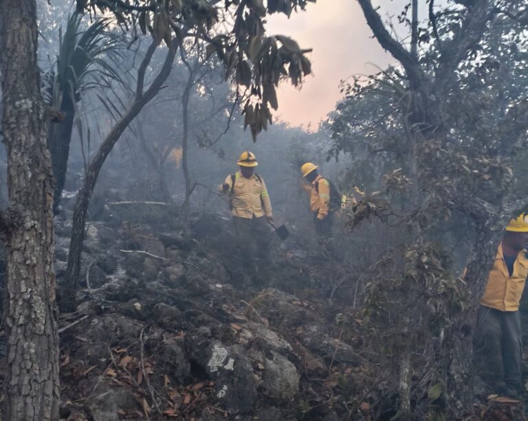 Oaxaca:, segundo estado con más daños por incendios forestales