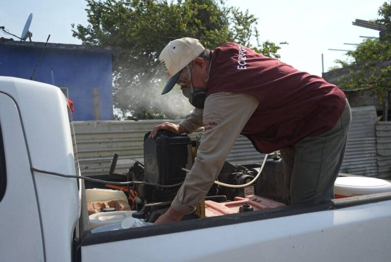 Veracruz reduce los casos de dengue
