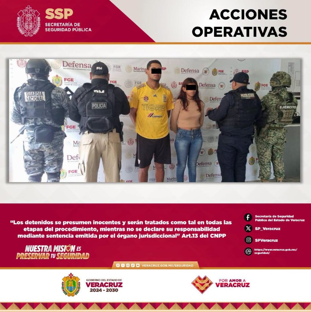 Aseguran 117 dosis de estupefacientes en 19 municipios de Veracruz