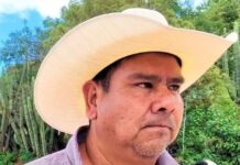 Asesina a balazos al presidente municipal de San Miguel Amatitlán, Oaxaca