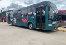 BinniBus implementa ruta especial gratuita hacia el Parque Primavera Oaxaqueña por el Mundial 2026