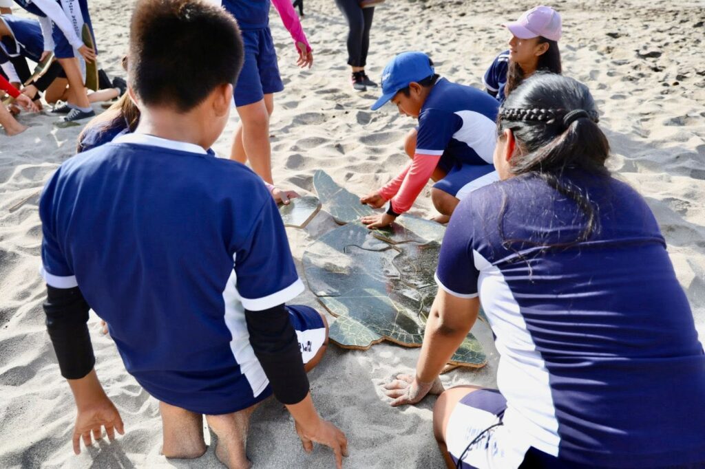 Celebran el 'TORTUFEST 2026' en Huatulco para promover la conservación de la tortuga marina