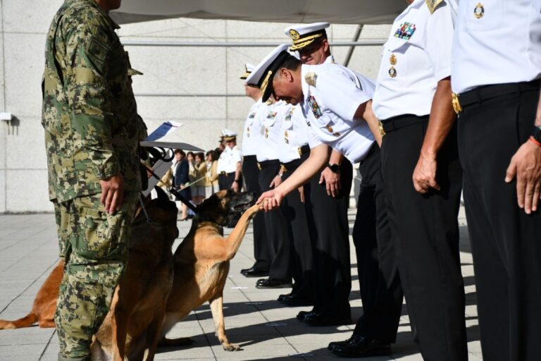 Héroes de cuatro patas: SEMAR jubila a Niko, Hunter e Hidra tras una vida de lealtad y servicio a México