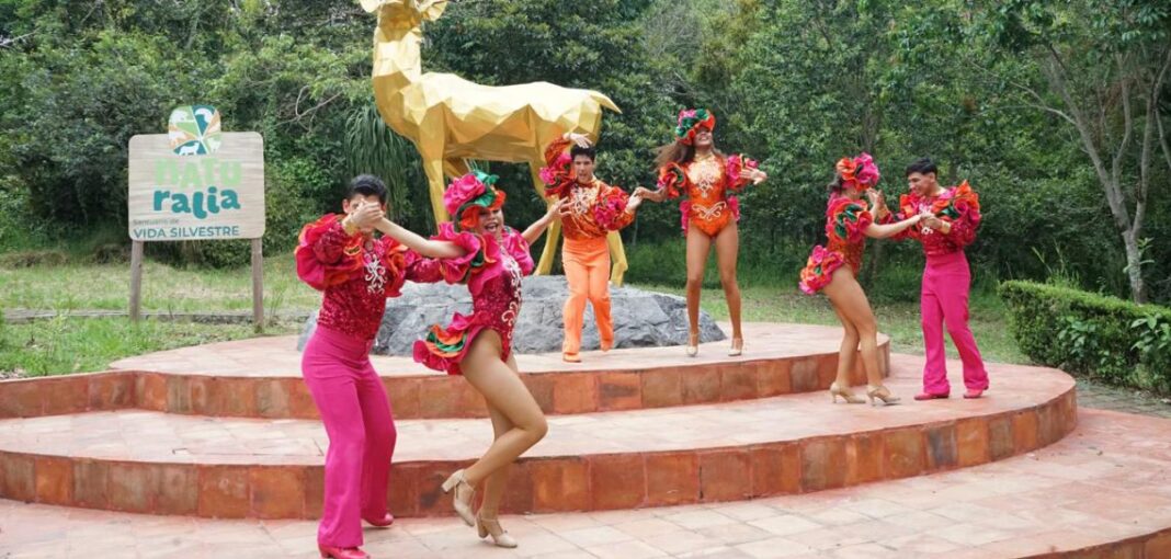Salsa Fest 2026 ofrecerá actividades recreativas y culturales previo a conciertos estelares