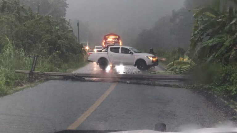 Cierre total en la carretera federal 175 por colapso de poste eléctrico