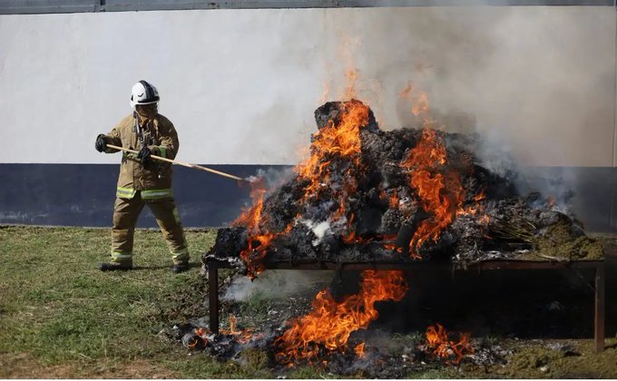 FGR incinera más de 860 kilos de droga en Oaxaca