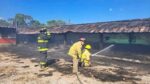 Incendio en granja avícola de Fortín de las Flores deja 30 mil aves muertas