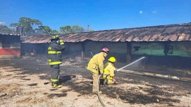 Incendio en granja avícola de Fortín de las Flores deja 30 mil aves muertas