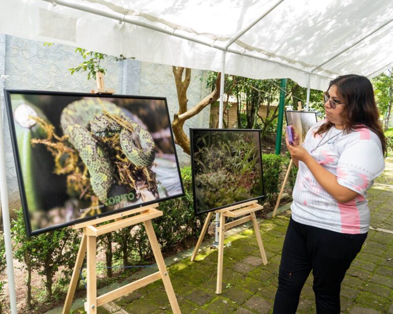 Más de mil personas participan en el Quinto Festival Mexicano de las Serpientes