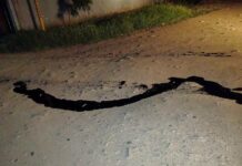 Reportan nuevo derrame en Salina Cruz