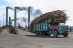 Veracruz busca reactivar tres ingenios azucareros