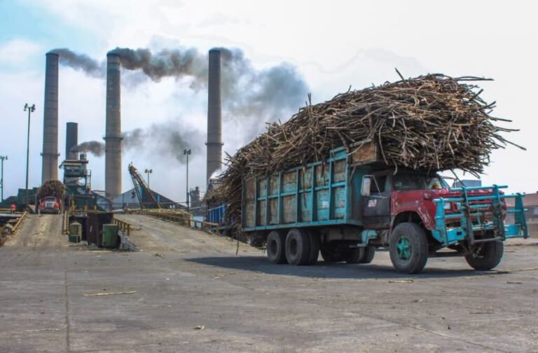 Veracruz busca reactivar tres ingenios azucareros