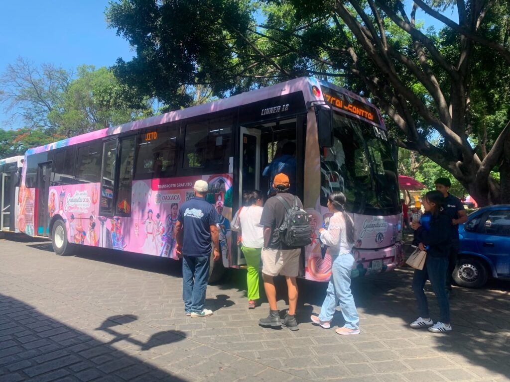 Binnibus se consolida como líder nacional en crecimiento de transporte urbano