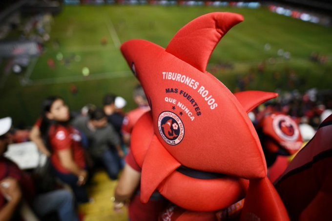 Buscan el retorno de los Tiburones Rojos a Primera División