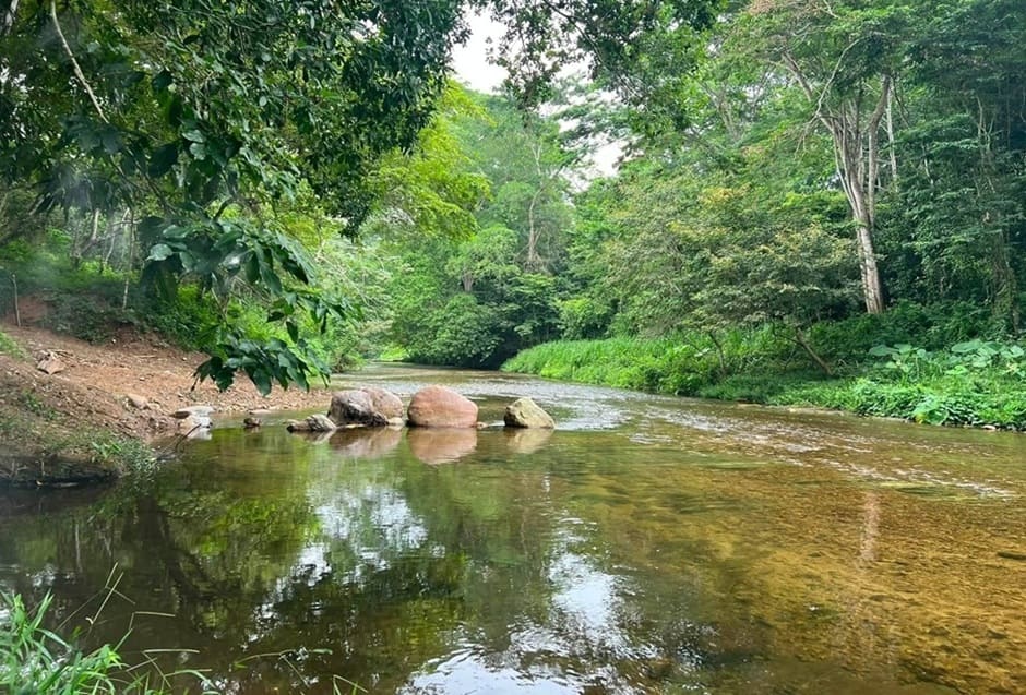 Juzgado admite amparo contra megaproyecto hídrico del Corredor Interoceánico