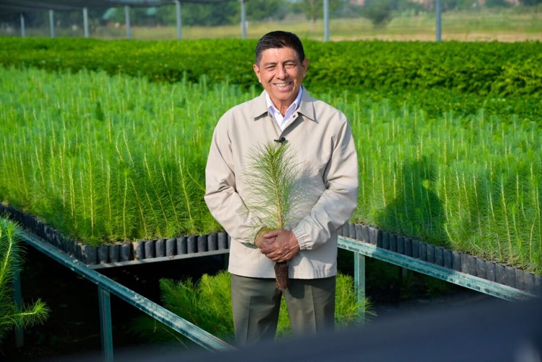 Oaxaca se suma a la Jornada Nacional de Reforestación 2026