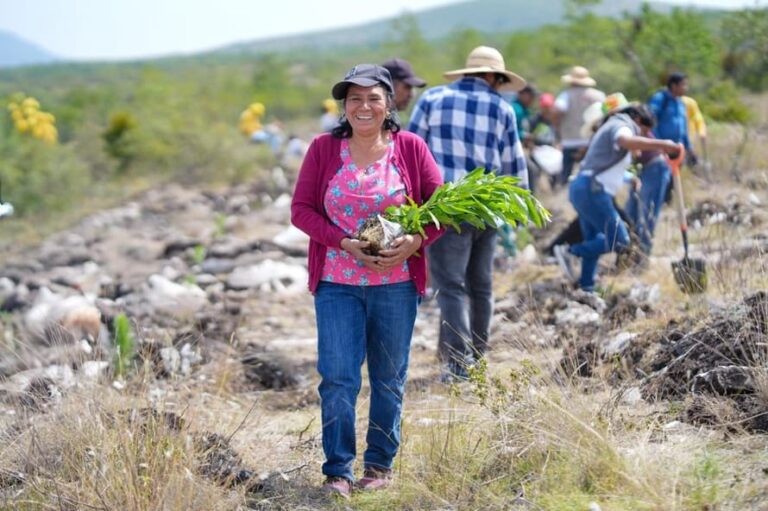 Oaxaca se une a la Jornada Nacional de Reforestación 2026 con la siembra de 12 mil plantas