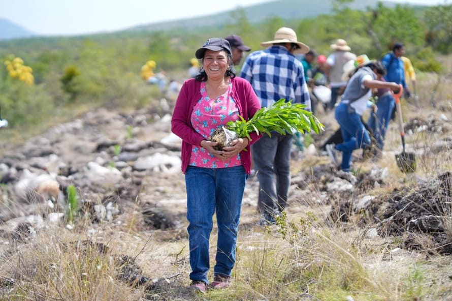 Oaxaca se une a la Jornada Nacional de Reforestación 2026 con la siembra de 12 mil plantas