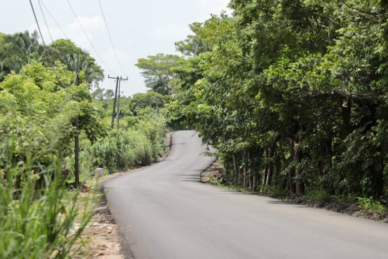 Rocío Nahle supervisa rehabilitación carretera entre Cosoleacaque y Tatahuicapan