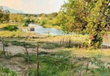Ceabien echan a andar represa y limpieza de galerías filtrantes en Tehuantepec