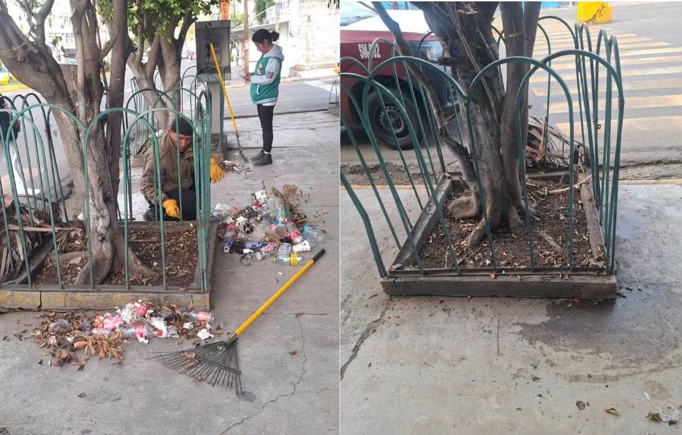 Despliegan megaoperativo de limpieza y poda en parques y vialidades de Oaxaca de Juárez