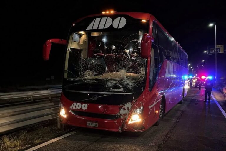 Exigen blindar la autopista Oaxaca–Cuacnopalan tras dos ataques armados contra autobuses de pasajeros