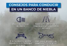 Huracán “Polo” y onda tropical 41 ponen en alerta a Oaxaca