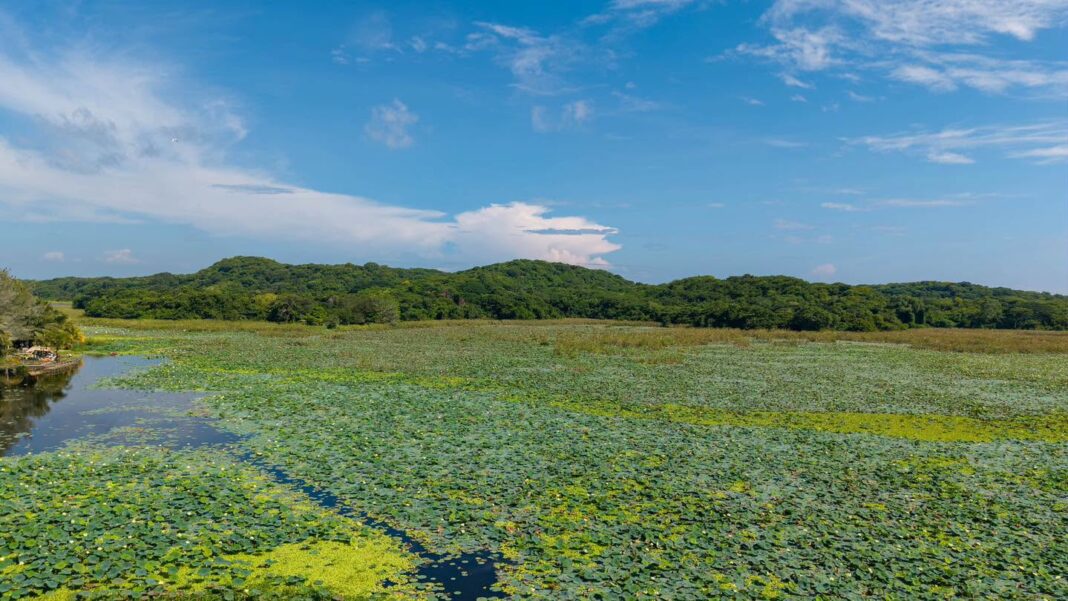 Rescatan la laguna de San Julián con megaoperativo ambiental y apoyo de pescadores