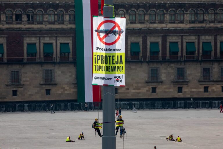 activistas-protestan-en-el-zocalo-contra-megaplanta-de-amoniaco-en-topolobampo
