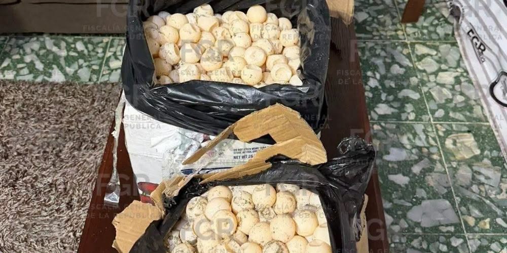 huevos de tortuga marina en autobús de pasajeros entre Oaxaca y Chiapas