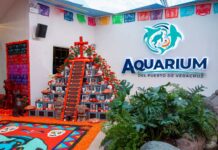 Aquarium de Veracruz inicia festejos de Día de Muertos con altar monumental y nuevas atracciones