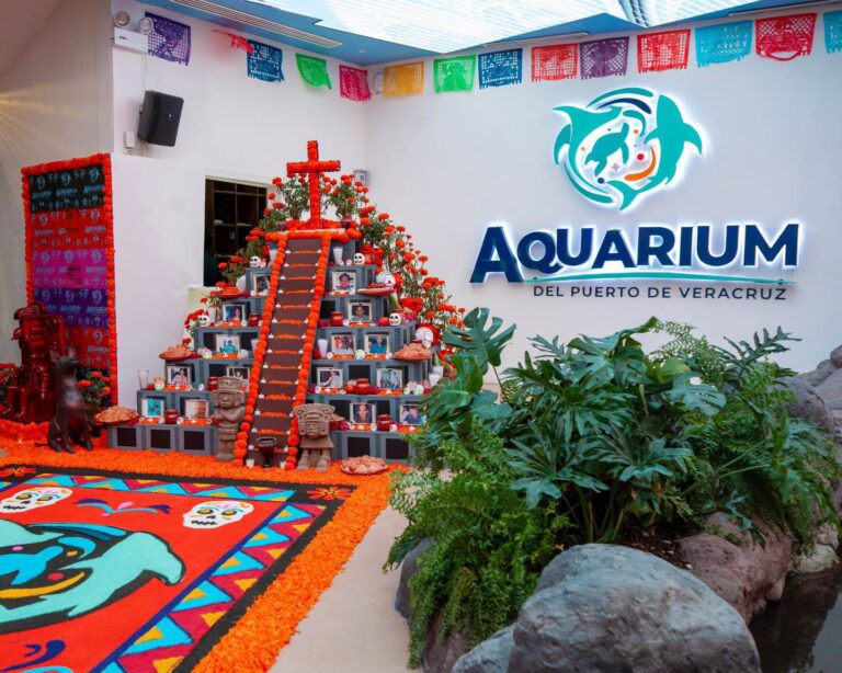 Aquarium de Veracruz inicia festejos de Día de Muertos con altar monumental y nuevas atracciones