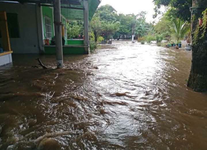 Desbordamiento de arroyo afecta 12 viviendas en Tuxtepec; mantienen vigilancia