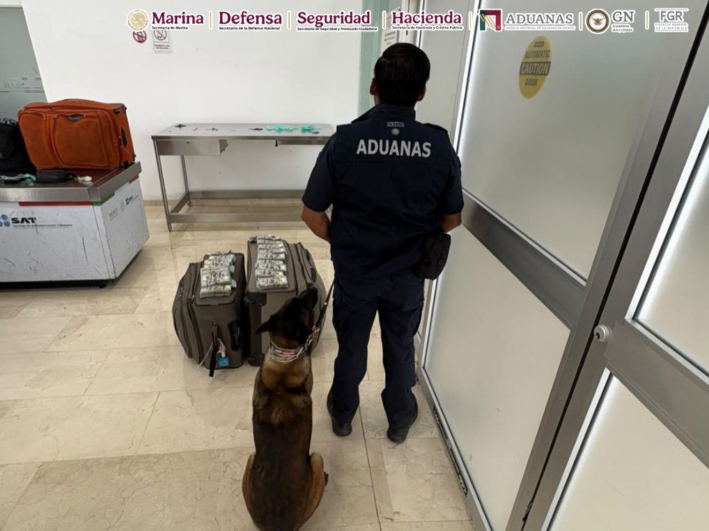 Detienen en el aeropuerto de Oaxaca a pasajero con más de 365 mil dólares sin declarar