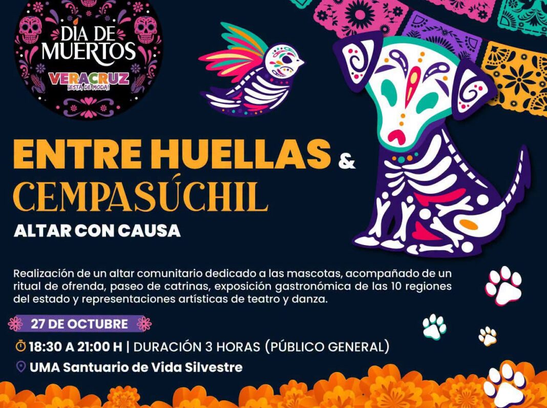 Entre huellas y cempasúchil