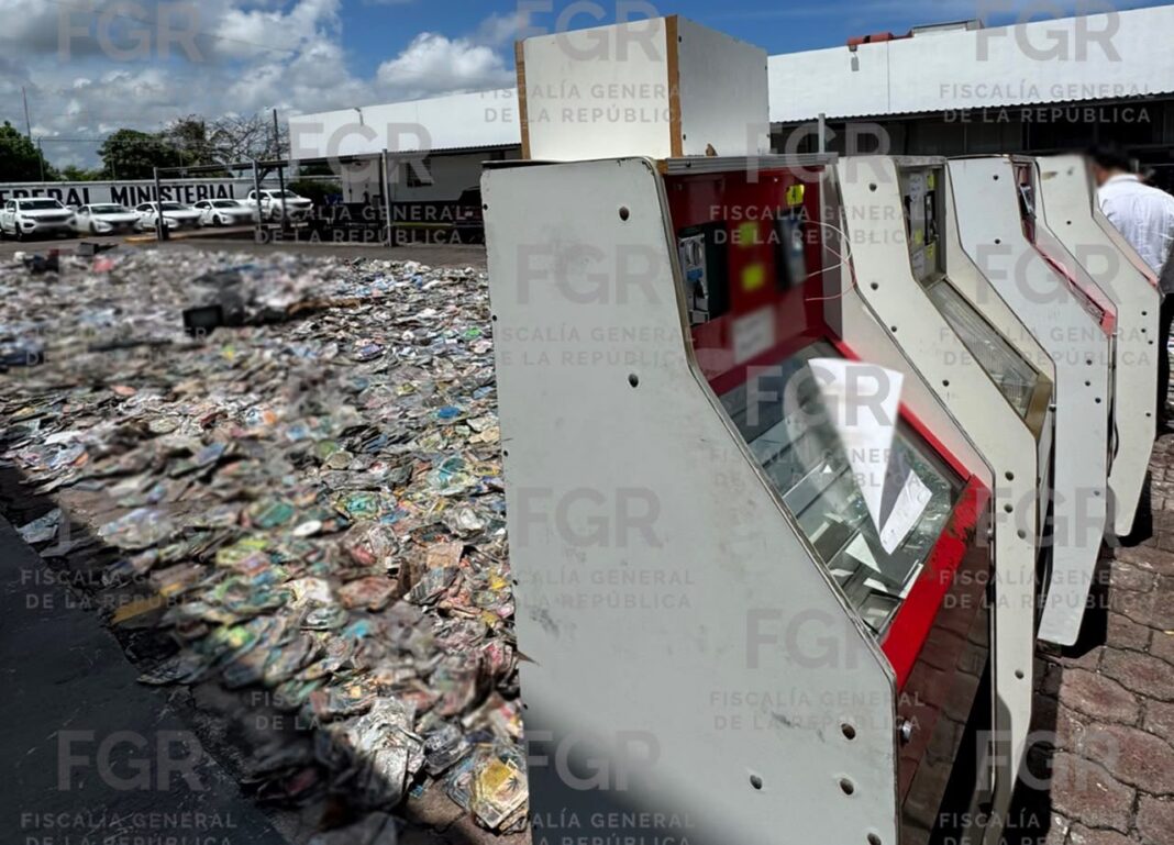 FGR destruye más de 4.8 toneladas de objetos del delito y sustancias ilícitas en Veracruz