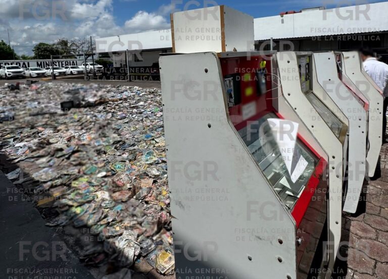 FGR destruye más de 4.8 toneladas de objetos del delito y sustancias ilícitas en Veracruz