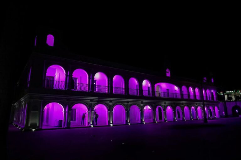 Iluminan el Palacio Municipal de Boca del Río de rosa en apoyo a la lucha contra el cáncer de mama