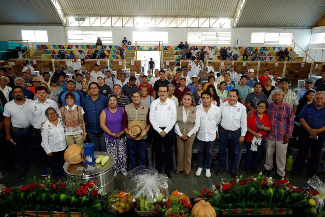 Impulso a la apicultura veracruzana
