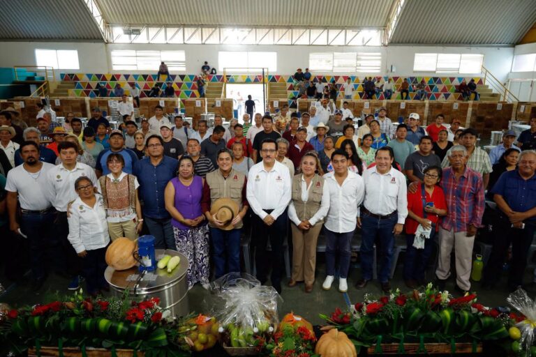 Impulso a la apicultura veracruzana