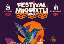 La riqueza cultural de Veracruz llegará al Festival Miquixtli 2026