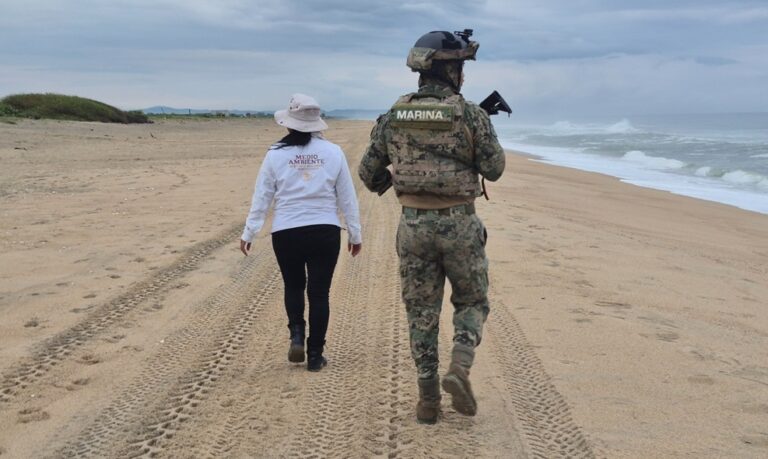 Marina y Profepa blindan el Santuario Playa Escobilla para proteger a la tortuga golfina
