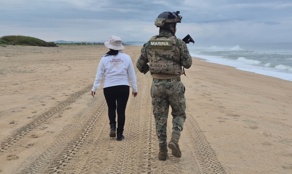 Marina y Profepa blindan el Santuario Playa Escobilla para proteger a la tortuga golfina