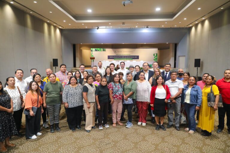 Paz y gobernabilidad en Oaxaca abren puerta al mercado internacional